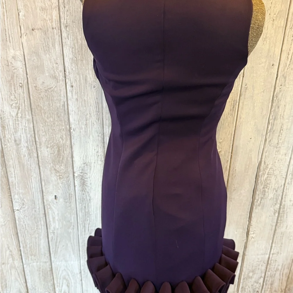 Chic Sleeveless Ruffle Hem Dress in Deep Purple - Picture 10 of 10
